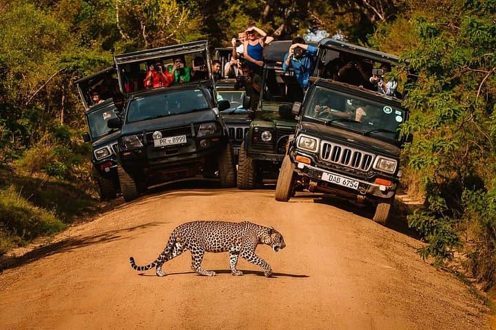 Sri Lanka Round Tour: Sigiriya, Ella Train Ride & Safari Adventure photo 2