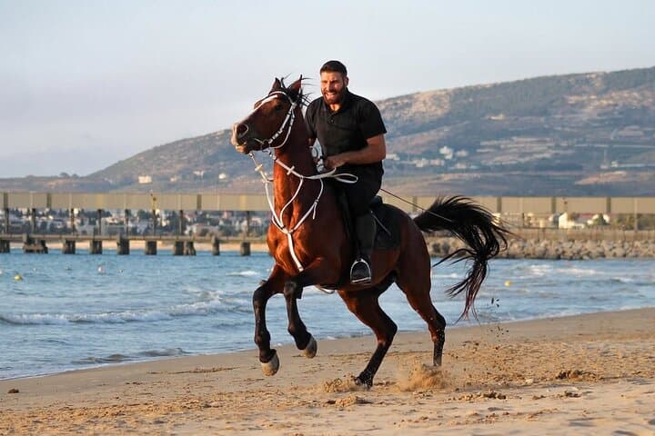 Sunset Horseback Ride on Chekka Beach — Lebanon’s Mediterranean Equine Escape photo 1