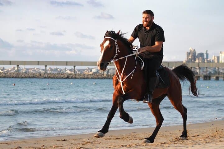 Sunset Horseback Ride on Chekka Beach — Lebanon’s Mediterranean Equine Escape photo 3