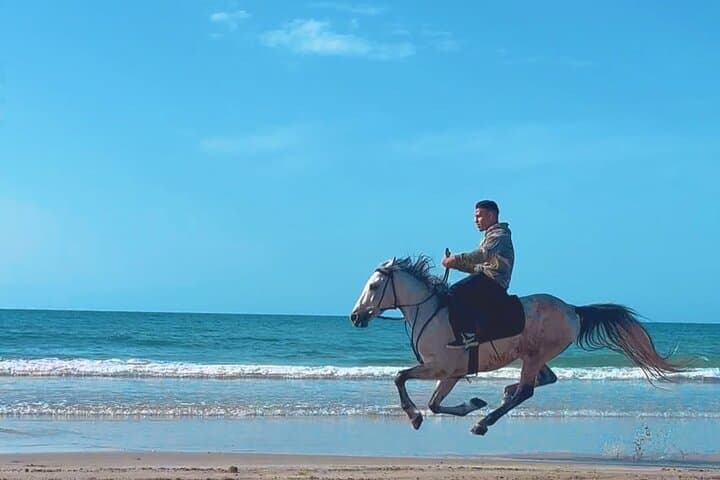 Sunset Horseback Ride on Chekka Beach — Lebanon’s Mediterranean Equine Escape photo 4