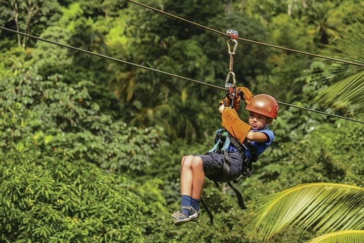 Dual Zipline Adventure in Punta Cana: Race Through the Rainforest Canopy photo 3
