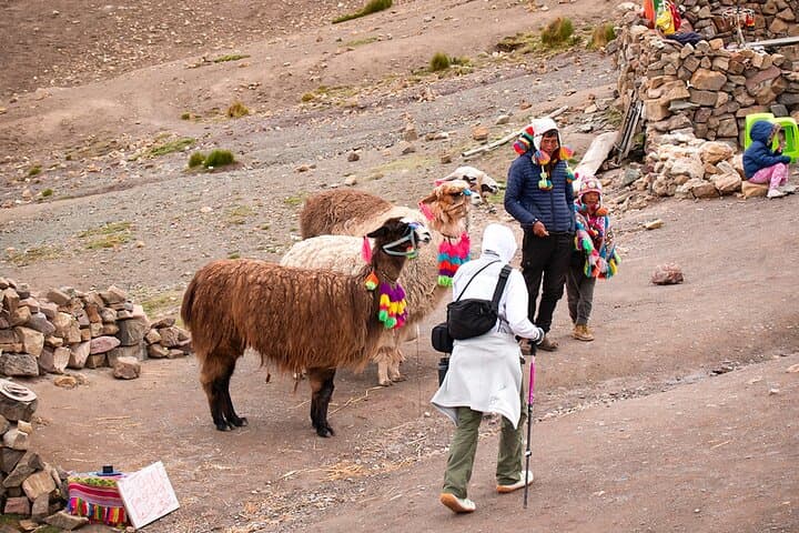 Rainbow Mountain and Red Valley Trek: Full-Day Hike from Cusco photo 4