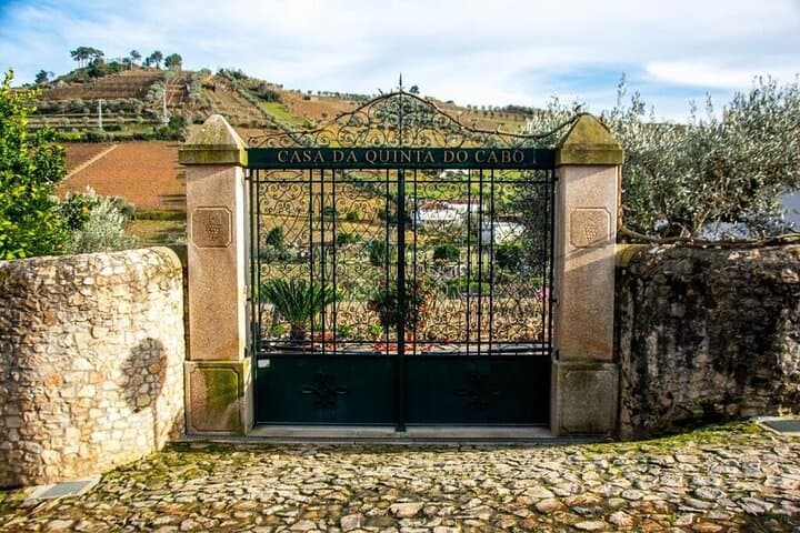 Douro Valley Wine Harvest: Grape Picking, Stomping & Family Lunch Experience photo 2