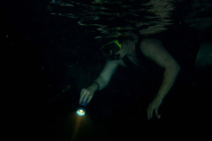 Night Snorkeling in Mirissa: See the Southern Reef After Dark photo 3