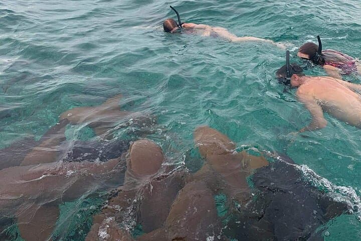 Private Half-Day Snorkel on the Belize Barrier Reef from San Pedro photo 2