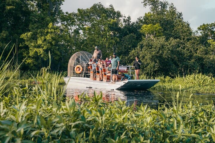 Private New Orleans Airboat Adventure in the Jean Lafitte Bayou