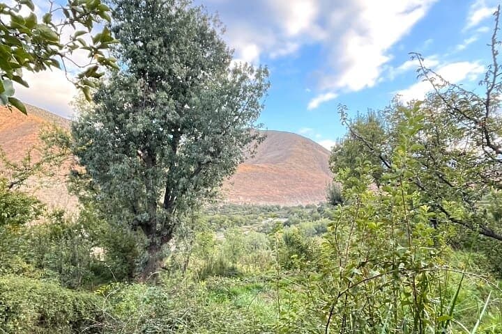 Three Valleys Atlas Day Trip: Ourika, Asni & Kik Plateau from Marrakech