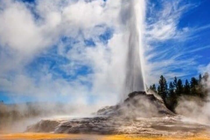 Yellowstone Volcanic Wonderland: Hot Springs, Geysers & Wildlife Full-Day Private Tour photo 3