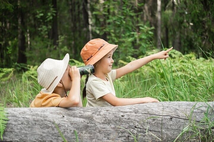 Exploring Yellowstone’s Wildlife and Wonders: A Family-Friendly Adventure
