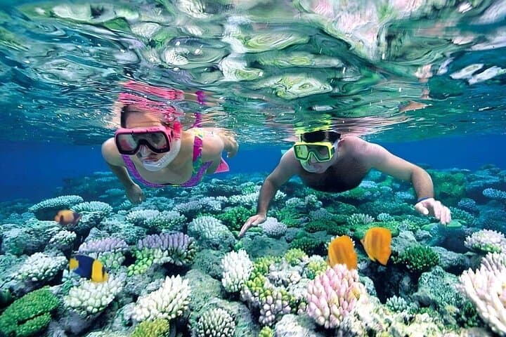Nusa Penida Snorkeling Adventure — Swim with Manta Rays at Manta Bay, Crystal Bay & Gamat Bay