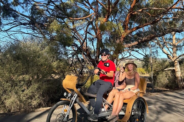 eTukTuk Adventure from Shirvington Wines — McLaren Vale Shiraz Trail Self-Drive photo 6