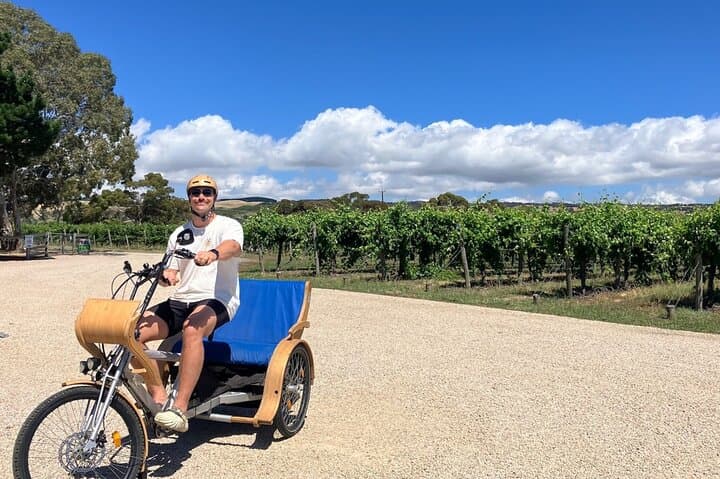 eTukTuk Adventure from Shirvington Wines — McLaren Vale Shiraz Trail Self-Drive photo 3