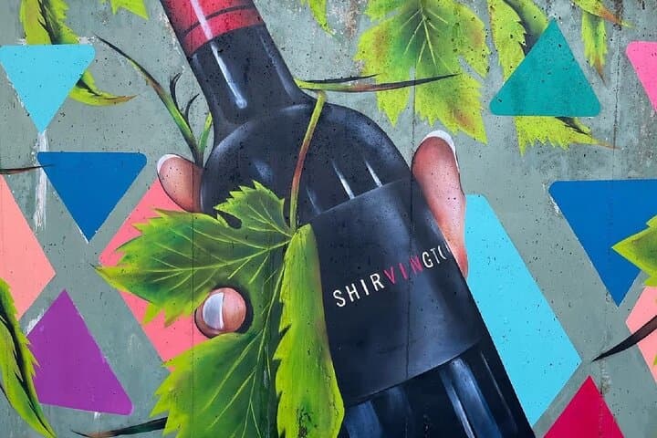 eTukTuk Adventure from Shirvington Wines — McLaren Vale Shiraz Trail Self-Drive photo 5