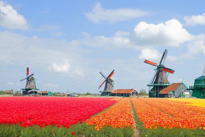 Private Dutch Countryside Tour: Zaanse Schans Windmills & Volendam Day Trip photo 5