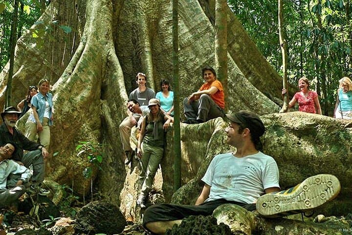 Cat Tien National Park Day Trip: Trek Rainforest Trails and Cycle Nam Cat Tien Village