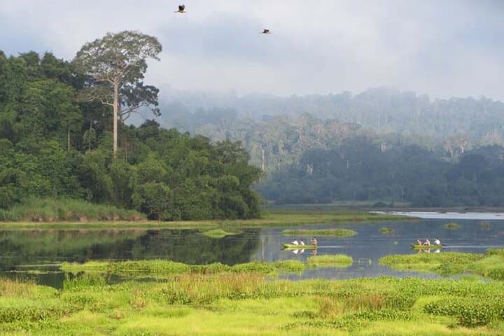 Cat Tien National Park Day Trip: Trek Rainforest Trails and Cycle Nam Cat Tien Village photo 3