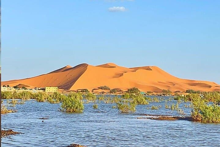 Merzouga 4x4 Desert Tour: Erg Chebbi Dunes, Gnawa Music & Nomad Encounters photo 4