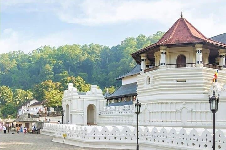 Private Kandy City Tour by TukTuk: Tea, Temples & Botanical Gardens photo 4