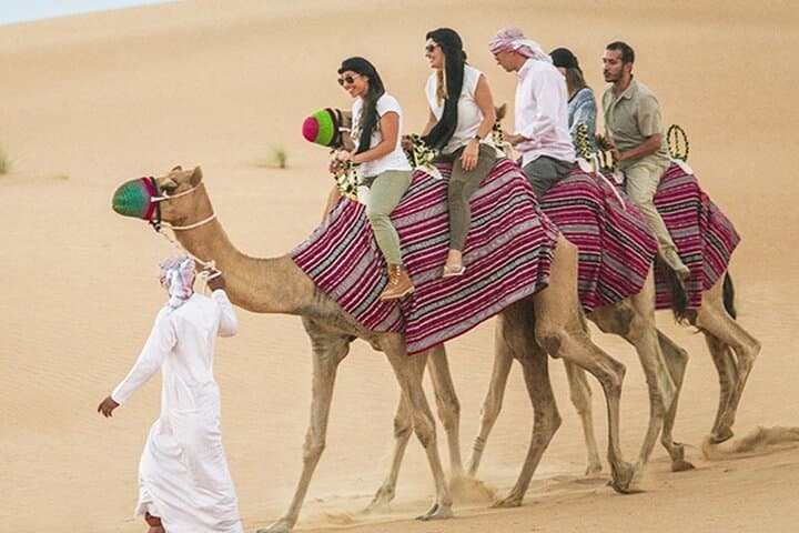 VIP Dubai & Abu Dhabi: Private City Tours, Sunset Desert Safari and Abu Dhabi Day Trip