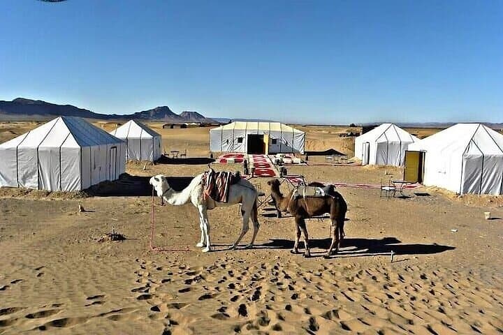 Private Zagora Overnight Desert Camp & Camel Ride from Marrakesh photo 2