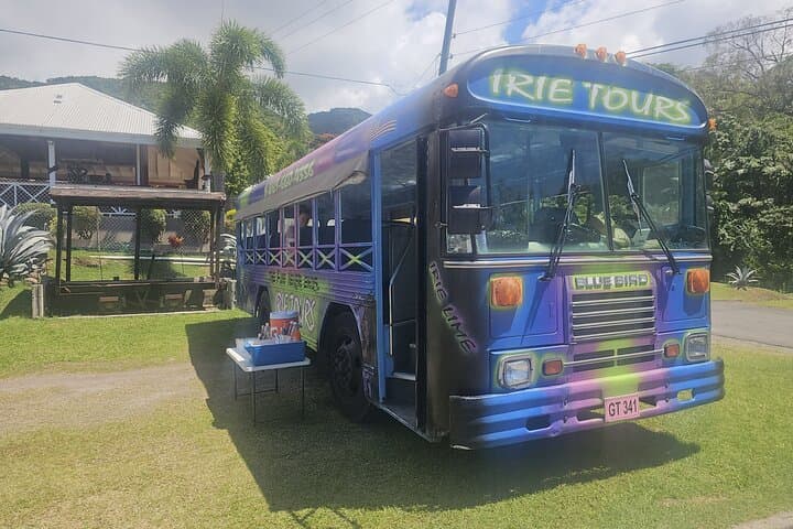 Irie Vibe Open Air Scenic Adventure in St Kitts: Romney Manor, Timothy Hill & Frigate Bay photo 3
