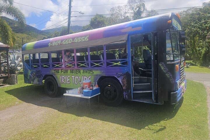 Irie Vibe Open Air Scenic Adventure in St Kitts: Romney Manor, Timothy Hill & Frigate Bay photo 6
