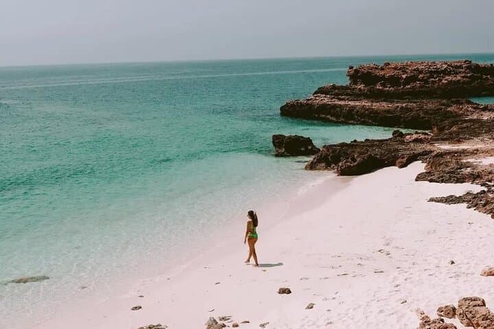 Half-Day Snorkel & Kayak at Daymaniyat Islands — Reefs, Turtles & Clear Waters photo 5