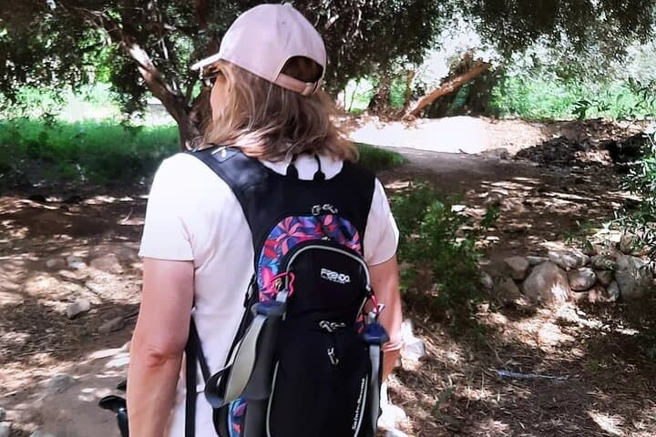 Hike Todgha Gorge with Berber Guides: Day Treks from Tinghir photo 5