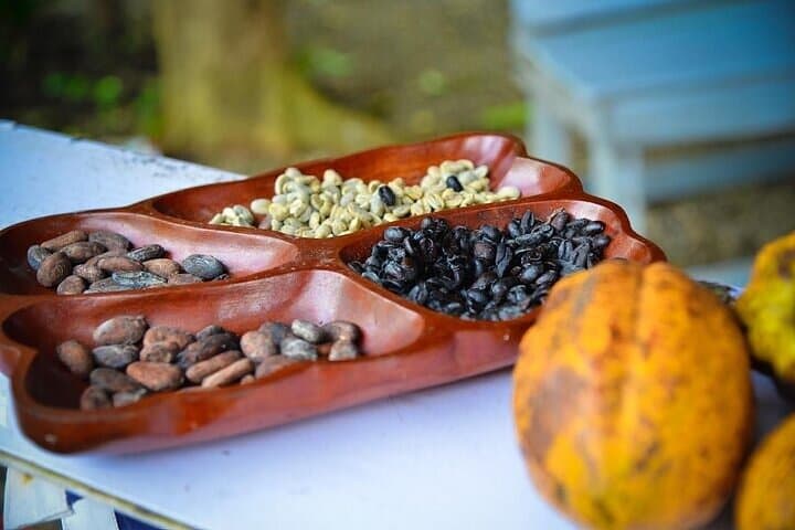 Punta Cana ATV and Monkey Sanctuary Combo — Off-Road Ride and Ethical Wildlife Encounter photo 6