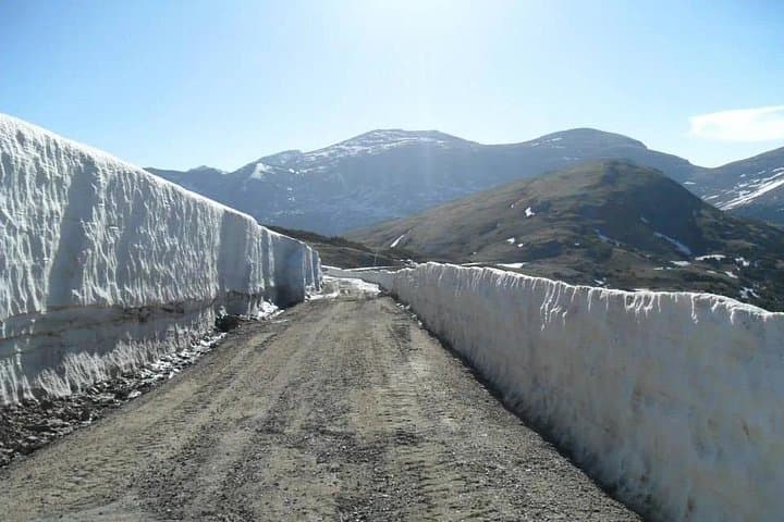 Rocky Mountain National Park Winter Safari Tour from Estes Park photo 4