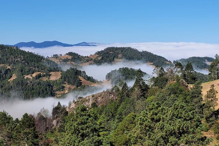 Sierra Norte Hiking to Cuajimoloyas: Full-Day Indigenous Village Trek from Oaxaca photo 2
