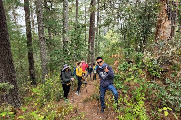 Sierra Norte Hiking to Cuajimoloyas: Full-Day Indigenous Village Trek from Oaxaca photo 5