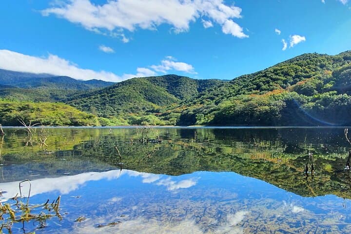Half-Day MTB Ride to El Tule & Santo Domingo Tomaltepec Lake — Oaxaca Mountain Biking photo 2