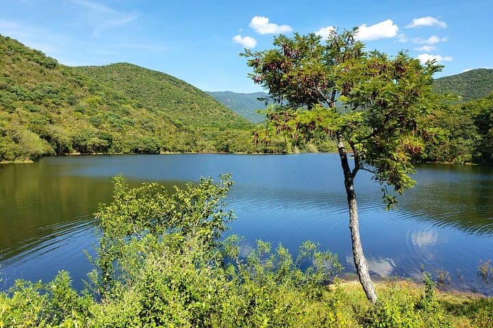 Half-Day MTB Ride to El Tule & Santo Domingo Tomaltepec Lake — Oaxaca Mountain Biking photo 4