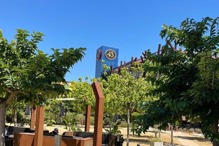 Rewaco Trike & Licor 43 Tasting Tour — Cartagena Chauffeur Ride and Distillery Visit photo 6