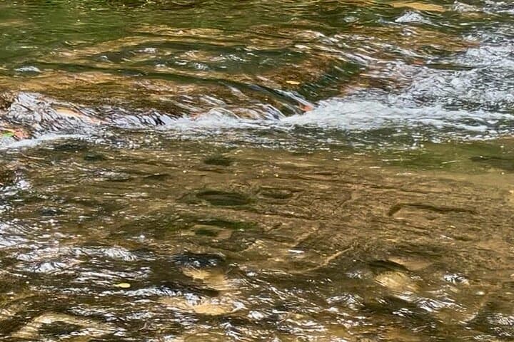 Phnom Kulen Waterfalls & 1000 Lingas: A Day on Cambodia’s Sacred Plateau photo 5
