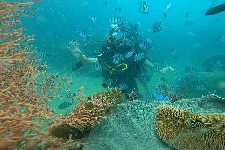 Discover 3 Islands of Phu Quoc: An Thoi Archipelago Full-Day Boat Tour photo 2