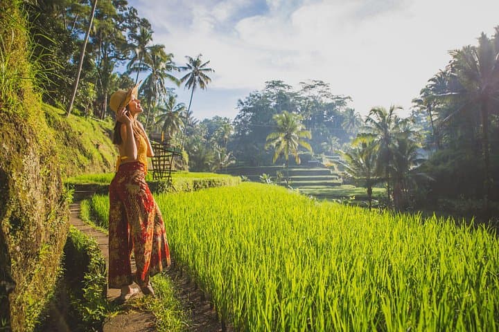 Best of Ubud: Private One-Day Tour to Tegenungan, Monkey Forest & Tegalalang photo 3