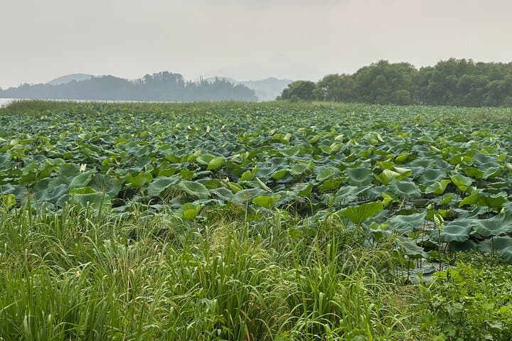 Taste Korea Slow: Gyeonggi-do Jang Workshop, Temple Visit & Spa Day from Seoul photo 2