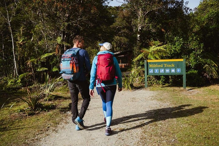 Milford Sound Nature Cruise & Scenic Milford Track Walk — Day Trip from Te Anau photo 3