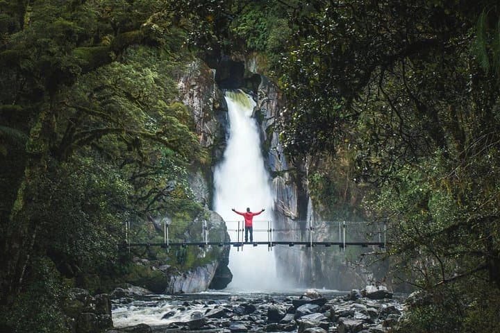 Milford Sound Nature Cruise & Scenic Milford Track Walk — Day Trip from Te Anau photo 1