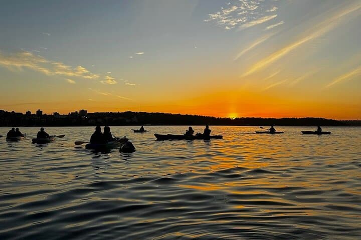 Sunrise Serenity: Kayak Sydney Harbour at Dawn photo 6