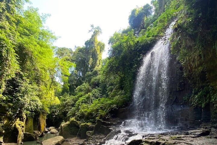 Private Ubud Day Tour: Penglipuran Village, Kanto Lampo Waterfall & Bali Swing photo 3