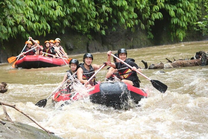 Ayung River Rafting from Ubud — 2-Hour Whitewater Adventure in Bali