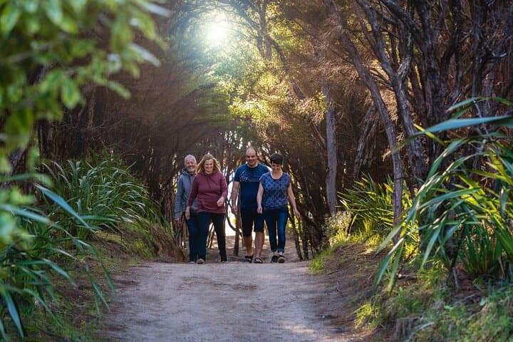 Abel Tasman Heli-Hike: Helicopter Landing and Guided Coastal Walk from Nelson photo 2