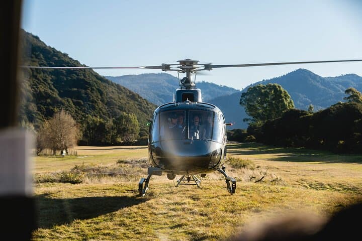 Abel Tasman Heli-Hike: Helicopter Landing and Guided Coastal Walk from Nelson photo 3