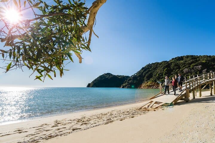 Abel Tasman Heli-Hike: Helicopter Landing and Guided Coastal Walk from Nelson photo 4