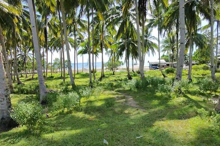 North Palawan Motorcycle Three-Day Highlights: El Nido to Port Barton & Dumaran photo 5