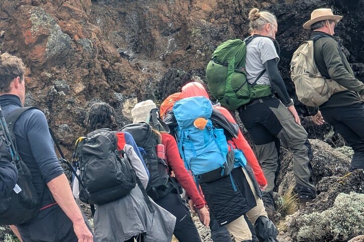 7-Day Machame Route Kilimanjaro Trek to Uhuru Peak photo 3