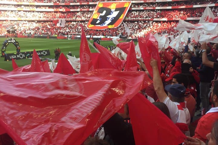 Benfica Match Day Experience at Estádio da Luz | Lisbon Match Tour & Tickets photo 3